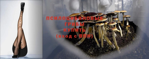 соль ск Бронницы
