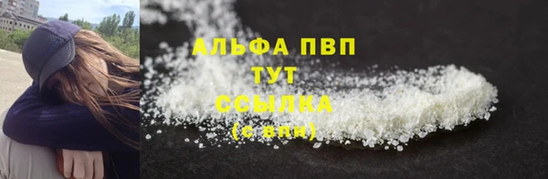 амф Бородино