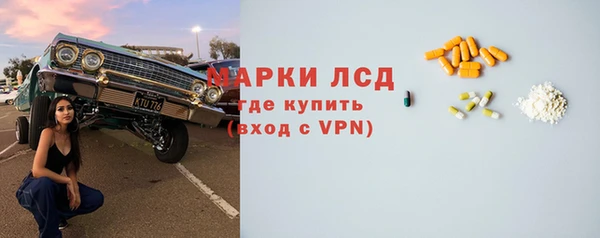 амф Бородино