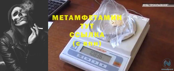 амф Бородино