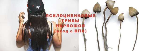 МДПВ Беломорск