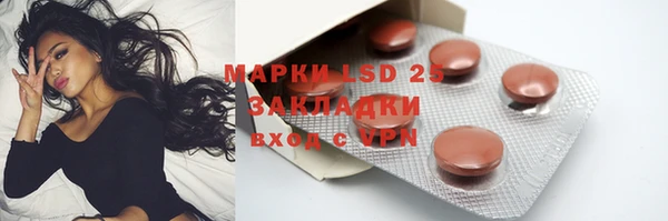 ГАЛЛЮЦИНОГЕННЫЕ ГРИБЫ Белокуриха