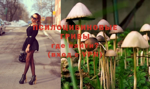бошки Богородицк