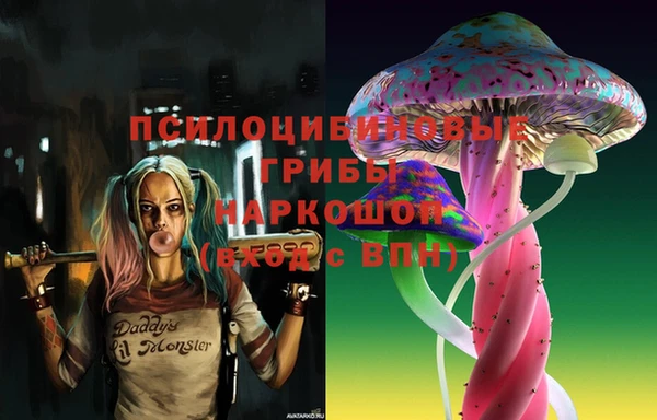 соль ск Бронницы