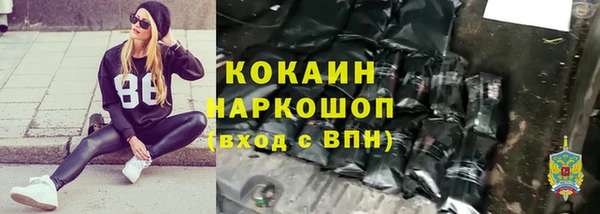 амф Бородино