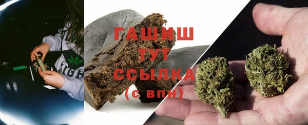 крисы Богородск