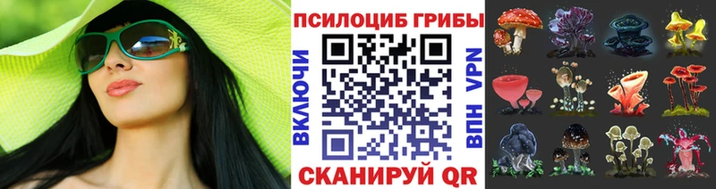где купить наркоту Белогорск Галлюциногенные грибы MAGIC MUSHROOMS